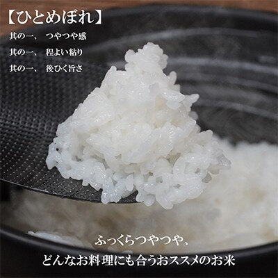 【毎月定期便】【12か月】【ひとめぼれ】30kg全12回