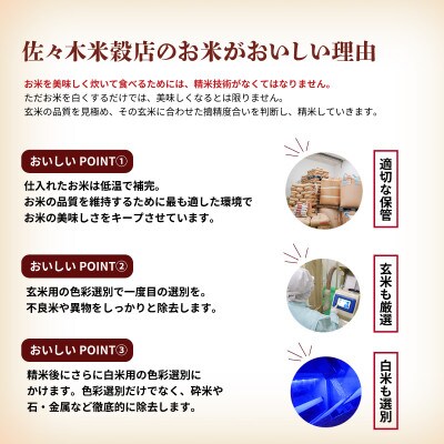 【毎月定期便】【9か月毎月配送】【無洗米】【ひとめぼれ】30kg全9回