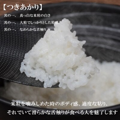 【毎月定期便】無洗米 つきあかり 10kg全3回