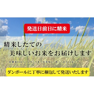 【毎月定期便】無洗米 つきあかり 10Kg全12回