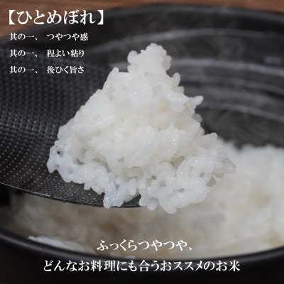 【毎月定期便】無洗米 ひとめぼれ 20kg全12回