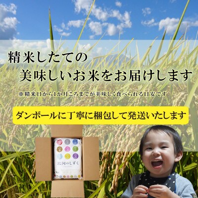 【毎月定期便】無洗米 銀河のしずく 30kg全3回