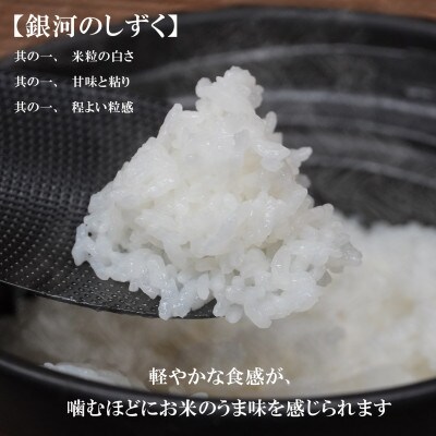 【毎月定期便】無洗米 銀河のしずく 30kg全12回