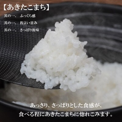 【毎月定期便】無洗米 あきたこまち 5kg全3回