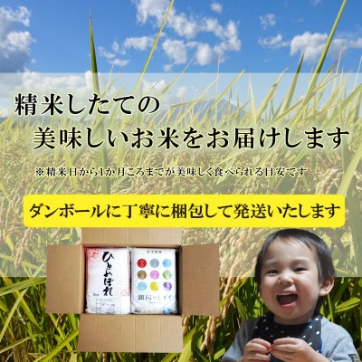 【毎月定期便】精米 2種食べ比べ 各10kg全12回