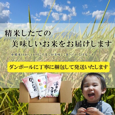 【毎月定期便】精米 3種食べ比べ 各5kg全3回