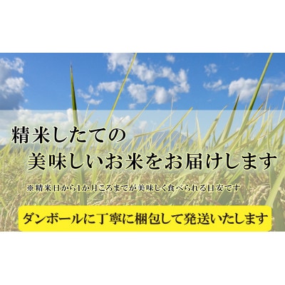【毎月定期便】無洗米 つきあかり 5kg全6回