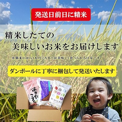 2022年2月発送開始『定期便』【無洗米3種食べ比べ】各10kg　毎月発送　全9回