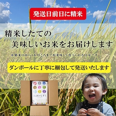 2022年11月発送開始『定期便』【銀河のしずく】【無洗米】10kg毎月発送　全12回