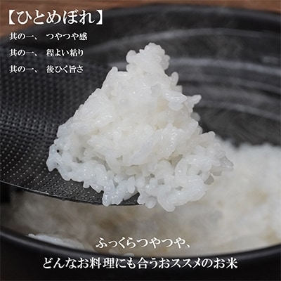2022年8月発送開始『定期便』【ひとめぼれ】5kg　毎月配送　全9回