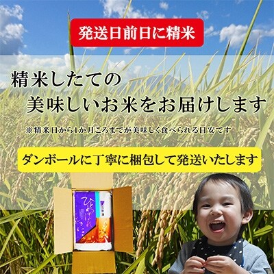 2022年8月発送開始『定期便』【ひとめぼれ】5kg　毎月配送　全9回