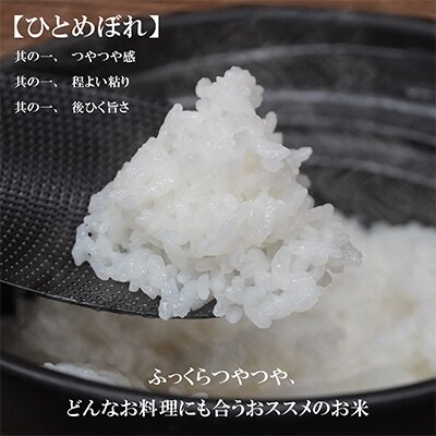 2022年4月発送開始『定期便』【ひとめぼれ】10kg　毎月配送　全12回