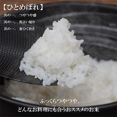 2022年11月発送開始『定期便』【ひとめぼれ】【無洗米】5kg　毎月配送　全12回