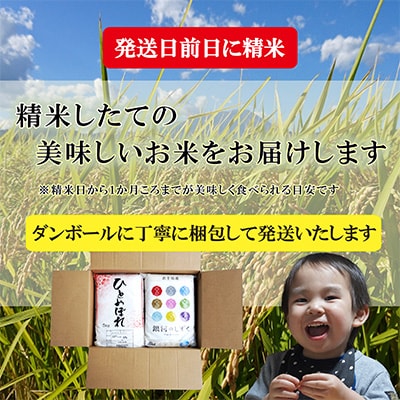2023年1月発送開始『定期便』【12か月毎月配送】【お米2種食べ比べ】各5kg全12回