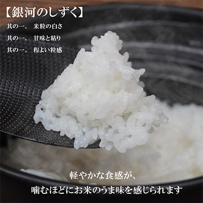 2023年8月発送開始『定期便』【12か月毎月配送】【銀河のしずく】【無洗米】10kg全12回