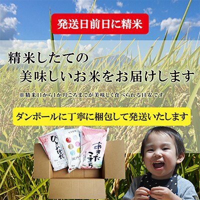 2023年6月発送開始『定期便』【6か月毎月配送】【無洗米3種食べ比べ】各10kg全6回