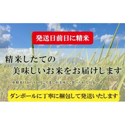 2023年4月発送開始『定期便』【3か月毎月配送】【つきあかり】5kg全3回