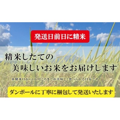 2023年4月発送開始『定期便』【3か月毎月配送】【無洗米】【つきあかり】10kg全3回