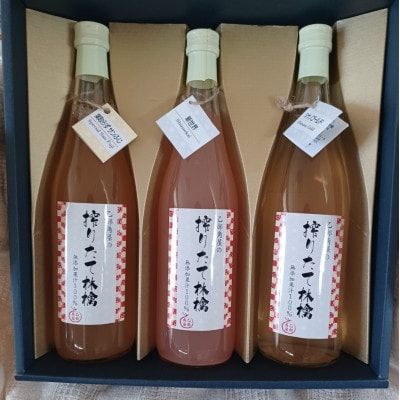 りんごジュース　720ml×3本