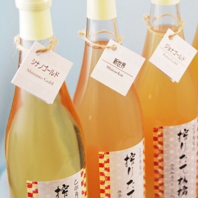 りんごジュース　　720ml×6本