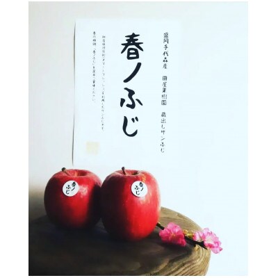 春ノふじ　～まるで採れたて食感のサンふじ～　2kg(約6玉)
