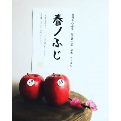 春ノふじ～まるで採れたて食感のサンふじ～　3kg(約9～10玉)