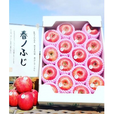 春ノふじ～まるで採れたて食感のサンふじ～　5kg(約14玉～18玉)