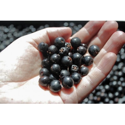 【飲むアントシアニン】アロニアまるしぼり 300ml×2本セット