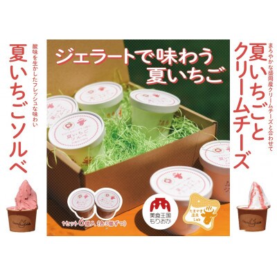 盛岡産 夏いちごをふんだんに使用したジェラート&ソルベ詰め合わせ