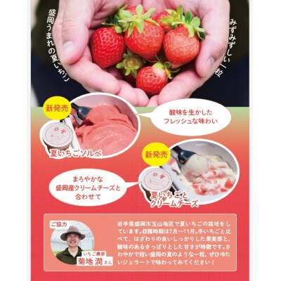 盛岡産 夏いちごをふんだんに使用したジェラート&ソルベ詰め合わせ