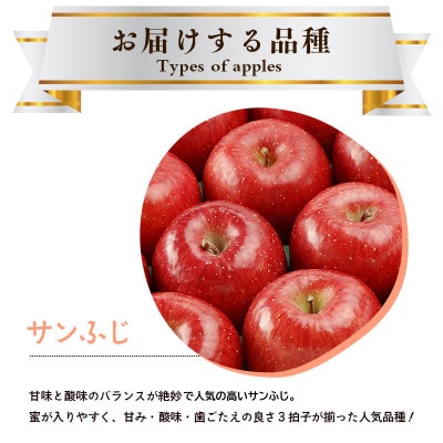 藤原農園のりんご『サンふじ』5kg
