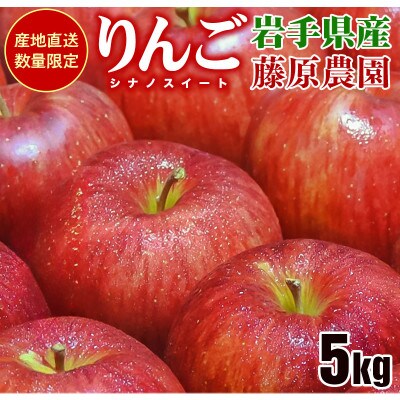 藤原農園のりんご『シナノスイート』5kg