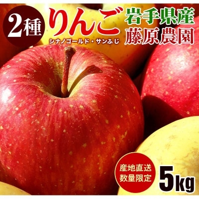 藤原農園のりんご2種の詰め合わせ『シナノゴールド・サンふじ』5kg