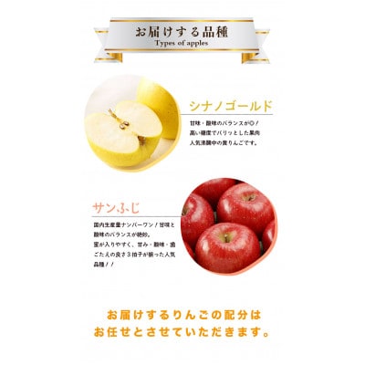 藤原農園のりんご2種の詰め合わせ『シナノゴールド・サンふじ』5kg