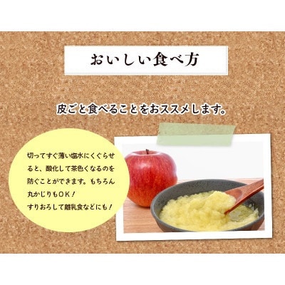 藤原農園のりんご3種の詰め合わせ『シナノスイート・シナノゴールド・サンふじ』5kg