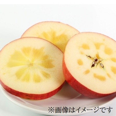 ふじむら農園の盛岡りんご『サンふじ』約10kg(ご家庭用)シャキシャキ食感【季節限定・数量限定】