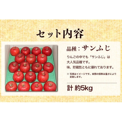ふじむら農園の盛岡りんご『サンふじ』約5kg(ご家庭用)シャキシャキ食感【季節限定・数量限定】