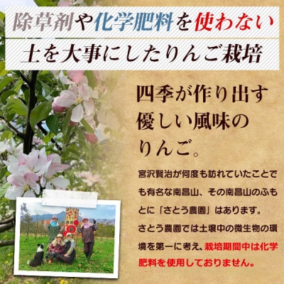 さとう農園の葉とらずりんごで作る　リンゴゼリー　10パック