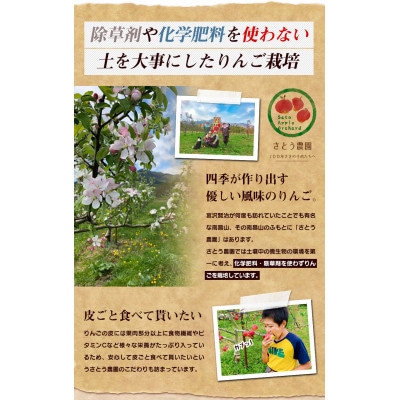 さとう農園の採りたてを搾った　葉とらずりんごのリンゴジュース　10パック　果汁100%