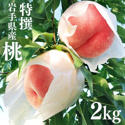 ふじむら農園の特撰白桃2kg(2025年8月中旬～2025年9月中旬頃順次発送)
