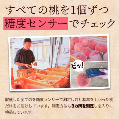 ふじむら農園の特撰白桃2kg(2025年8月中旬～2025年9月中旬頃順次発送)