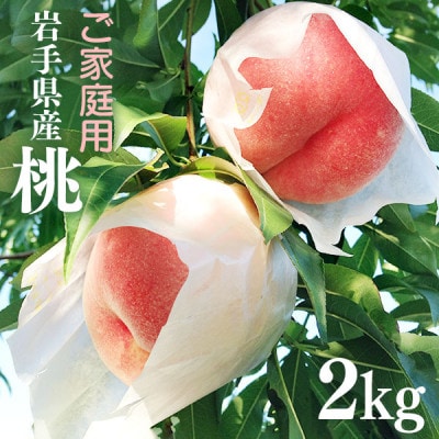 ふじむら農園のご家庭用白桃2kg(2025年8月中旬～2025年9月中旬頃順次発送)