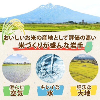 盛岡 みのりブラウニー 6個 焼き菓子 ブラウニー 農事組合法人となん 岩手県 盛岡市