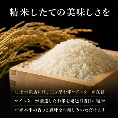 ★発送当日精米★盛岡産銀河のしずく 無洗米 ビタミン強化米入り 5kg《特A7年連続》令和7年産