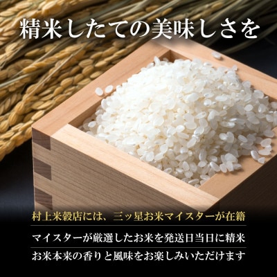 【特A8年連続】盛岡産 銀河のしずく 無洗米5kg|令和8年産・発送当日精米