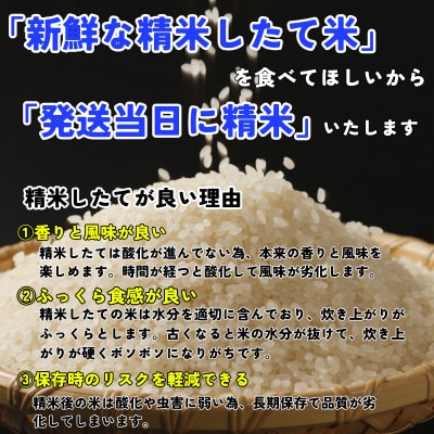 ◇発送当日精米◇盛岡市産銀河のしずく【5分づき精米】5kg《特A7年連続受賞中!》令和7年産