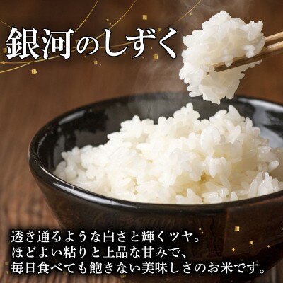 【特A8年連続】盛岡産 銀河のしずく 無洗米5kg×2・ビタミン強化米入り|令和8年産・発送当日精米