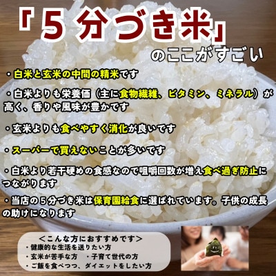 ◇発送当日精米◇盛岡市産ひとめぼれ【5分づき精米】5kg 令和7年産 ☆1等米100%の厳選米☆