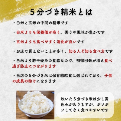 ◇新鮮!発送当日精米◇盛岡市産ひとめぼれ【5分づき精米・ビタミン強化米入り】5kg 令和7年産
