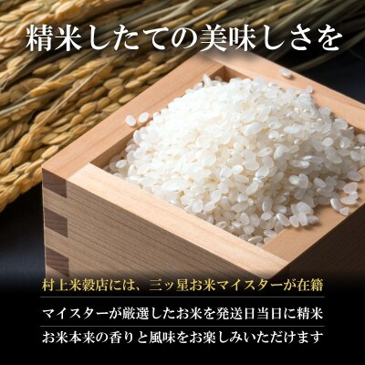 【特A8年連続】盛岡産 銀河のしずく 5分づき米 5kg×2|令和8年産・発送当日精米